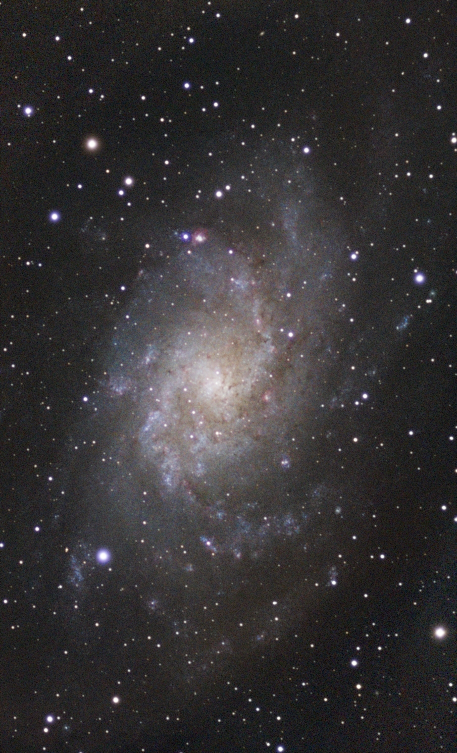 Triangulum Galaxy (M33)