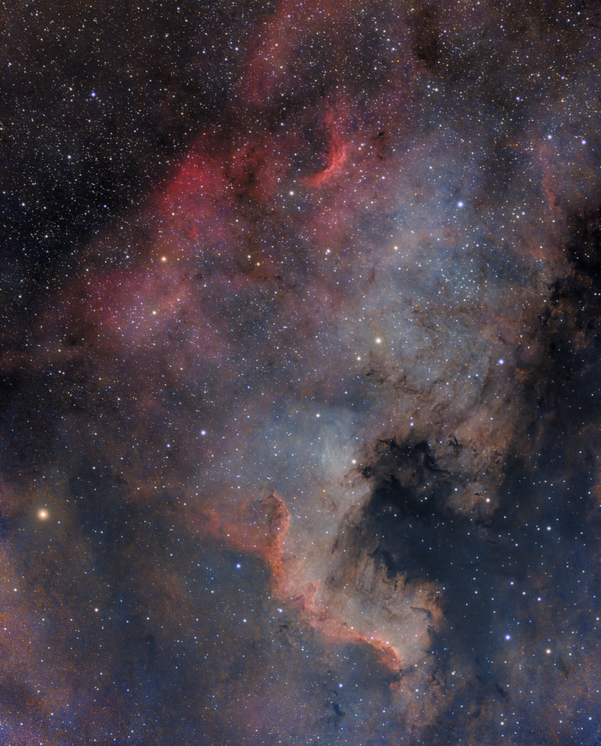 North America Nebula (NGC 7000)