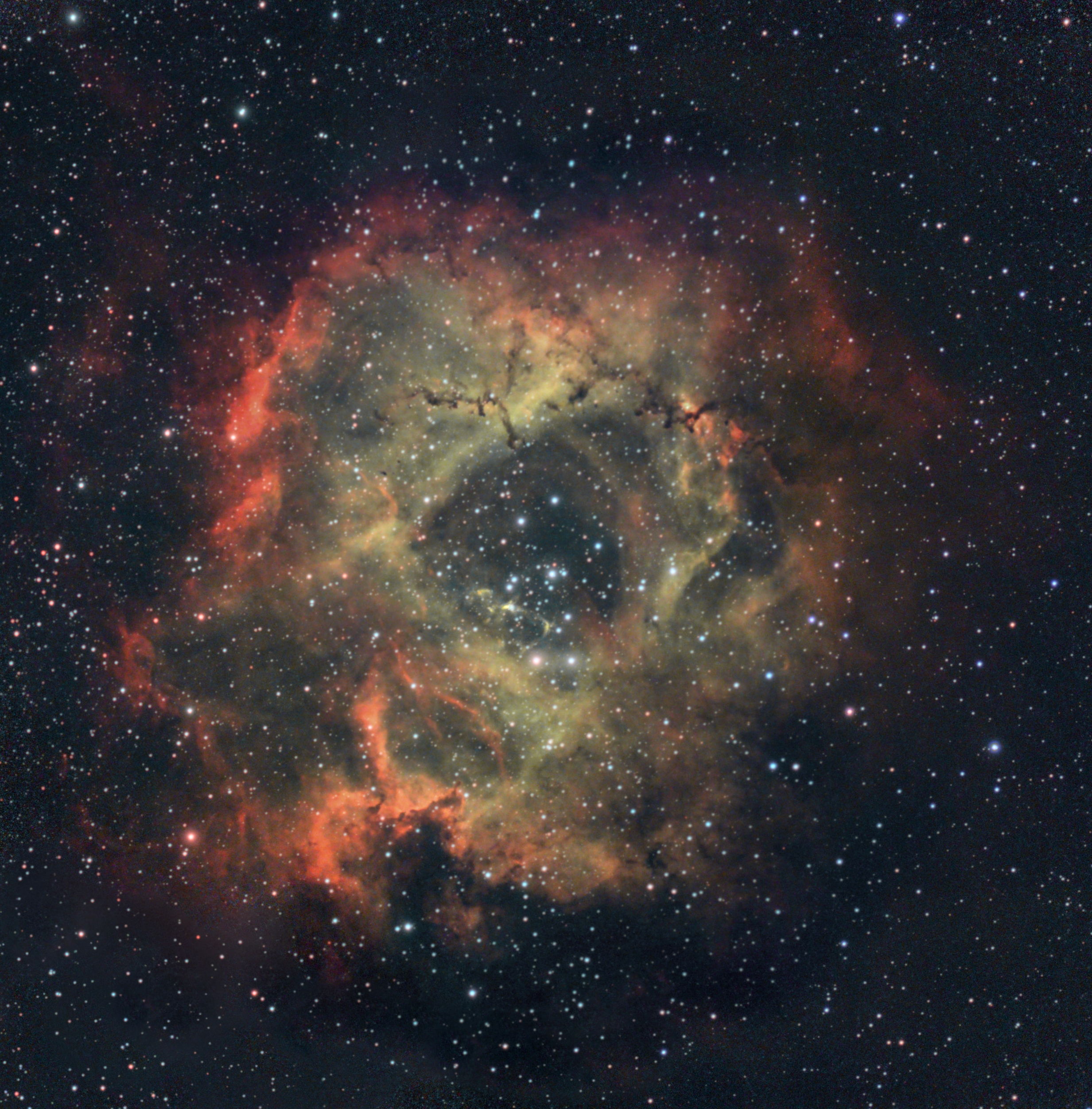 Rosette Nebula (NGC 2237)
